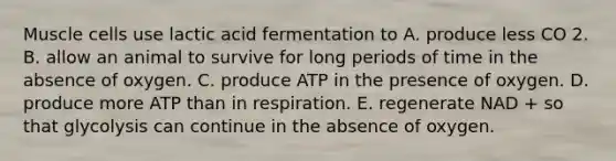 Muscle cells use lactic acid fermentation to A. produce less CO 2. B. allow an animal to survive for long periods of time in the absence of oxygen. C. produce ATP in the presence of oxygen. D. produce more ATP than in respiration. E. regenerate NAD + so that glycolysis can continue in the absence of oxygen.