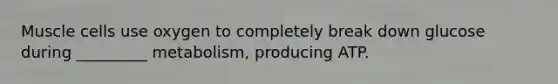 Muscle cells use oxygen to completely break down glucose during _________ metabolism, producing ATP.