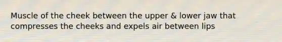 Muscle of the cheek between the upper & lower jaw that compresses the cheeks and expels air between lips