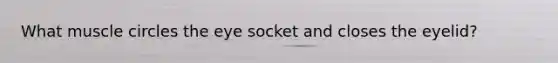 What muscle circles the eye socket and closes the eyelid?