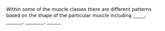 Within some of the muscle classes there are different patterns based on the shape of the particular muscle including _____, _______, ________, ______