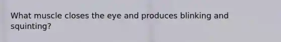 What muscle closes the eye and produces blinking and squinting?