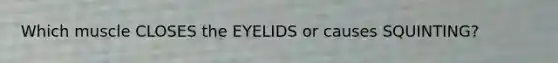 Which muscle CLOSES the EYELIDS or causes SQUINTING?