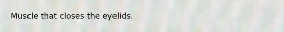 Muscle that closes the eyelids.