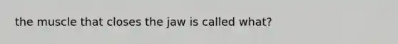 the muscle that closes the jaw is called what?