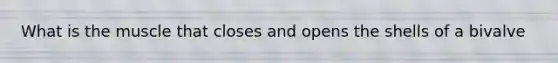 What is the muscle that closes and opens the shells of a bivalve