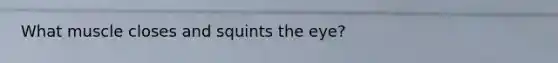 What muscle closes and squints the eye?