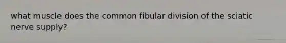 what muscle does the common fibular division of the sciatic nerve supply?