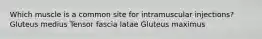 Which muscle is a common site for intramuscular injections? Gluteus medius Tensor fascia latae Gluteus maximus