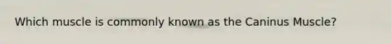 Which muscle is commonly known as the Caninus Muscle?