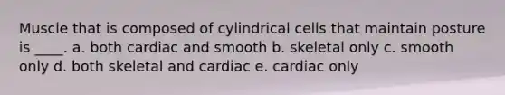 Muscle that is composed of cylindrical cells that maintain posture is ____.​ a. both cardiac and smooth​ b. ​skeletal only c. ​smooth only d. ​both skeletal and cardiac e. ​cardiac only