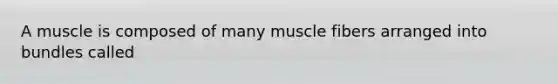 A muscle is composed of many muscle fibers arranged into bundles called