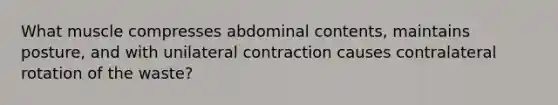 What muscle compresses abdominal contents, maintains posture, and with unilateral contraction causes contralateral rotation of the waste?