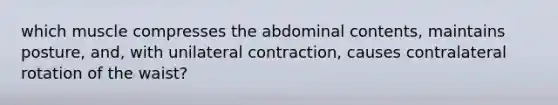 which muscle compresses the abdominal contents, maintains posture, and, with unilateral contraction, causes contralateral rotation of the waist?