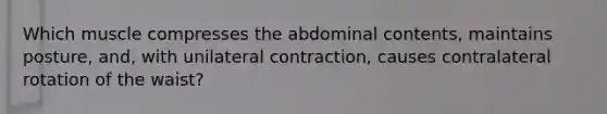 Which muscle compresses the abdominal contents, maintains posture, and, with unilateral contraction, causes contralateral rotation of the waist?