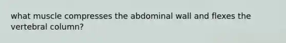 what muscle compresses the abdominal wall and flexes the vertebral column?