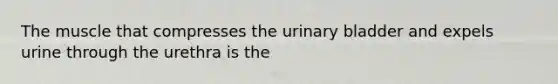 The muscle that compresses the <a href='https://www.questionai.com/knowledge/kb9SdfFdD9-urinary-bladder' class='anchor-knowledge'>urinary bladder</a> and expels urine through the urethra is the