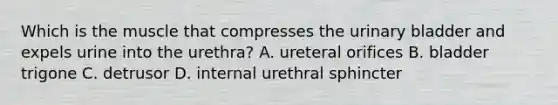 Which is the muscle that compresses the <a href='https://www.questionai.com/knowledge/kb9SdfFdD9-urinary-bladder' class='anchor-knowledge'>urinary bladder</a> and expels urine into the urethra? A. ureteral orifices B. bladder trigone C. detrusor D. internal urethral sphincter