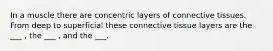 In a muscle there are concentric layers of connective tissues. From deep to superficial these connective tissue layers are the ___ , the ___ , and the ___.