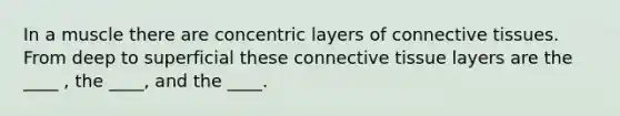 In a muscle there are concentric layers of connective tissues. From deep to superficial these connective tissue layers are the ____ , the ____, and the ____.