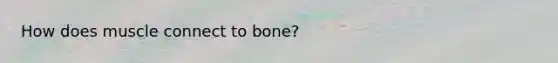 How does muscle connect to bone?