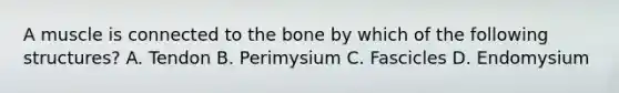 A muscle is connected to the bone by which of the following structures? A. Tendon B. Perimysium C. Fascicles D. Endomysium