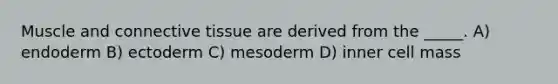 Muscle and connective tissue are derived from the _____. A) endoderm B) ectoderm C) mesoderm D) inner cell mass