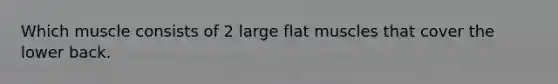 Which muscle consists of 2 large flat muscles that cover the lower back.