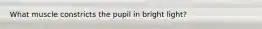 What muscle constricts the pupil in bright light?