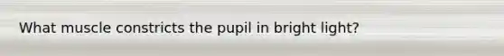 What muscle constricts the pupil in bright light?