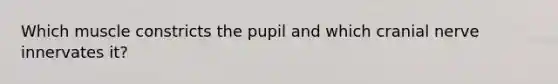 Which muscle constricts the pupil and which cranial nerve innervates it?