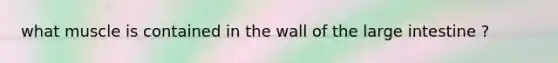 what muscle is contained in the wall of the large intestine ?