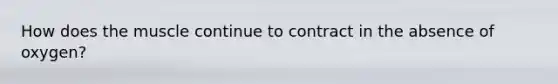 How does the muscle continue to contract in the absence of oxygen?