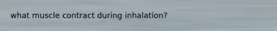 what muscle contract during inhalation?