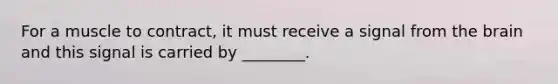 For a muscle to contract, it must receive a signal from the brain and this signal is carried by ________.