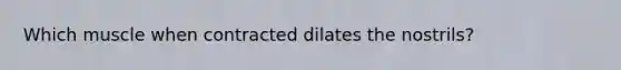 Which muscle when contracted dilates the nostrils?