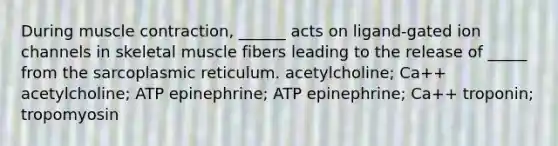 During muscle contraction, ______ acts on ligand-gated ion channels in skeletal muscle fibers leading to the release of _____ from the sarcoplasmic reticulum. acetylcholine; Ca++ acetylcholine; ATP epinephrine; ATP epinephrine; Ca++ troponin; tropomyosin