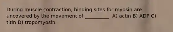 During <a href='https://www.questionai.com/knowledge/k0LBwLeEer-muscle-contraction' class='anchor-knowledge'>muscle contraction</a>, binding sites for myosin are uncovered by the movement of __________. A) actin B) ADP C) titin D) tropomyosin