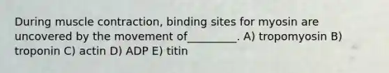 During muscle contraction, binding sites for myosin are uncovered by the movement of_________. A) tropomyosin B) troponin C) actin D) ADP E) titin