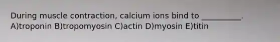 During muscle contraction, calcium ions bind to __________. A)troponin B)tropomyosin C)actin D)myosin E)titin