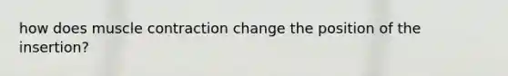 how does muscle contraction change the position of the insertion?