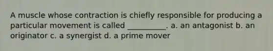 A muscle whose contraction is chiefly responsible for producing a particular movement is called __________. a. an antagonist b. an originator c. a synergist d. a prime mover