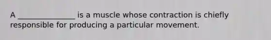 A _______________ is a muscle whose contraction is chiefly responsible for producing a particular movement.