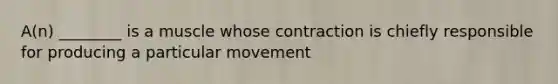 A(n) ________ is a muscle whose contraction is chiefly responsible for producing a particular movement