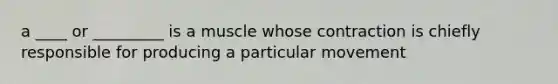 a ____ or _________ is a muscle whose contraction is chiefly responsible for producing a particular movement