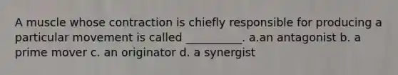 A muscle whose contraction is chiefly responsible for producing a particular movement is called __________. a.an antagonist b. a prime mover c. an originator d. a synergist