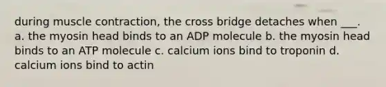 during muscle contraction, the cross bridge detaches when ___. a. the myosin head binds to an ADP molecule b. the myosin head binds to an ATP molecule c. calcium ions bind to troponin d. calcium ions bind to actin