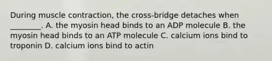 During <a href='https://www.questionai.com/knowledge/k0LBwLeEer-muscle-contraction' class='anchor-knowledge'>muscle contraction</a>, the cross-bridge detaches when ________. A. the myosin head binds to an ADP molecule B. the myosin head binds to an ATP molecule C. calcium ions bind to troponin D. calcium ions bind to actin