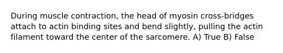 During muscle contraction, the head of myosin cross-bridges attach to actin binding sites and bend slightly, pulling the actin filament toward the center of the sarcomere. A) True B) False