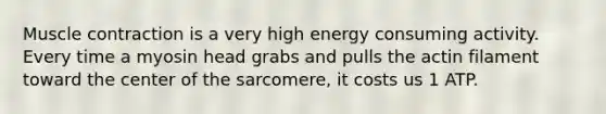 Muscle contraction is a very high energy consuming activity. Every time a myosin head grabs and pulls the actin filament toward the center of the sarcomere, it costs us 1 ATP.